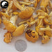 Yellow Mushroom, Wild Mushroom, Pleurotus Citrinopileatus, Yu Huang Mo 榆黄蘑