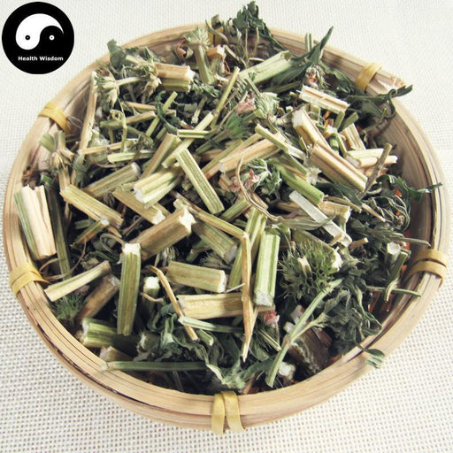 Yi Mu Cao 益母草, Herba Leonuri, Motherwort Herb, Leonurus Artemisia-Health Wisdom™
