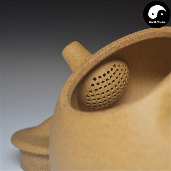Yixing Zisha Teapot 250ml,Duan Clay,188 Holes-Health Wisdom™
