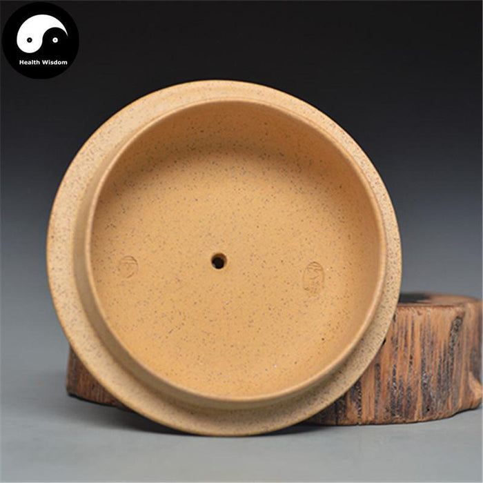 Yixing Zisha Teapot 280ml,Duan Clay-Health Wisdom™