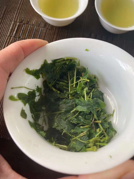 You Gan Cha 油柑茶, Dried Leaf Phyllanthi Tea, Phyllanthus Emblica Leaves, Yu Gan Ye 余甘叶-Health Wisdom™