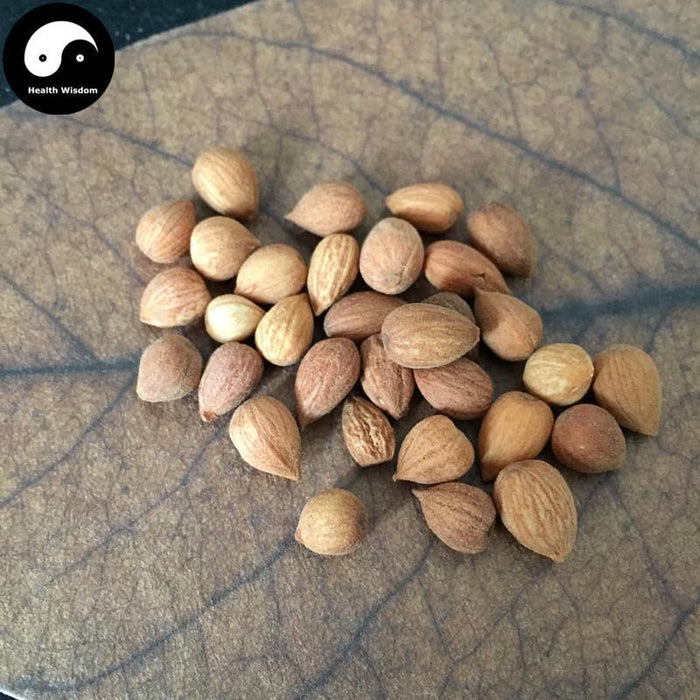 Yu Li Ren 郁李仁, Semen Pruni, Dwarf Flowering Cherry Seed, Chinese Dwarf Cherry Seed-Health Wisdom™