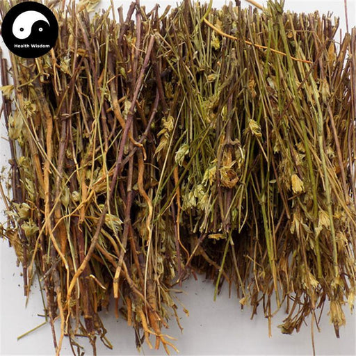 Zang Yin Chen 藏茵陈, Herba Swertia Mussotii Franch, Yin Chen Cha-Health Wisdom™
