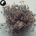 Zha Jiang Cao 酢漿草, Herba Oxalidis Corniculatae, Creeping Woodsorrel Herb-Health Wisdom™