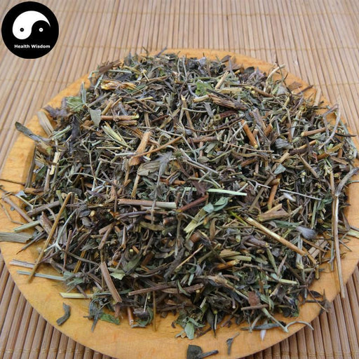 Zhen Zhu Tou Gu Cao 珍珠透骨草, Herba Speranskiae Tuberculatae, Tuberculate Speranskia Herb-Health Wisdom™