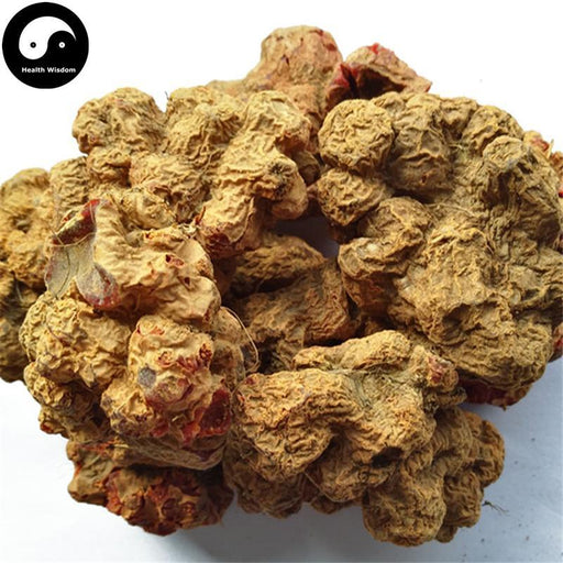 Zhu Sha Lian 朱砂莲, Kaempfer Dutchmanspipe Root, Aristolochia Cinnabarina-Health Wisdom™