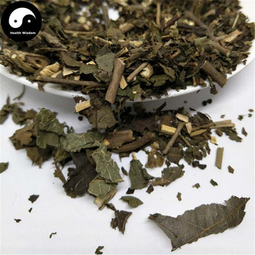 Zi Zhu Cao 紫珠草, Da Ye Zi Zhu, Folium Callicarpae Formosanae, Taiwan Beautyberry Leaf-Health Wisdom™