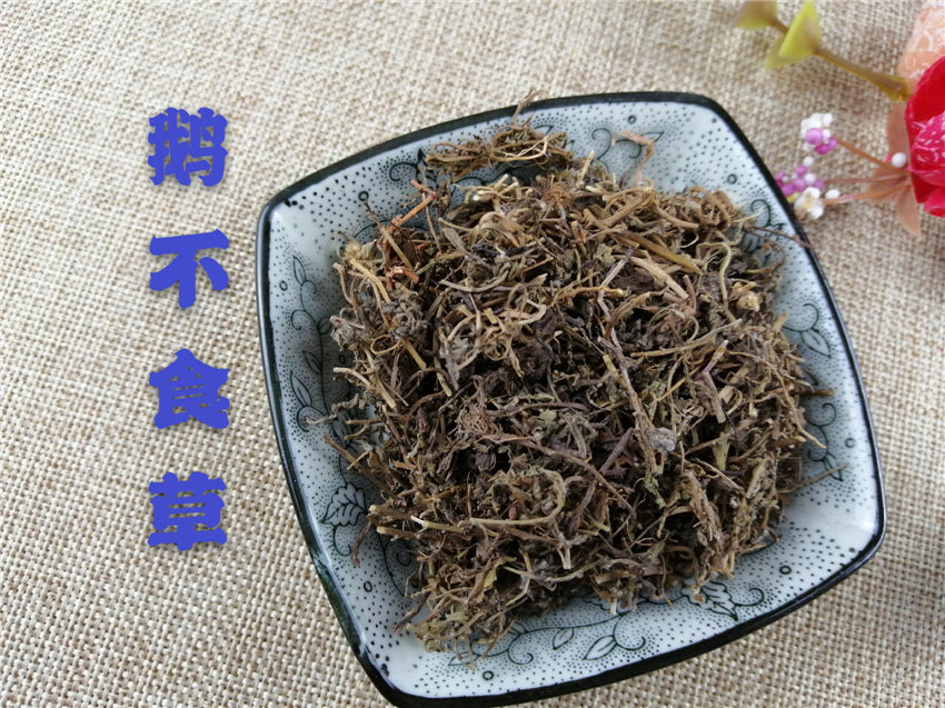 TCM Herbs Powder E Bu Shi Cao 鵝不食草, Small Centipeda Herb, Herba Centipedae